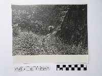黃則修攝泰雅人藏品圖，第1張