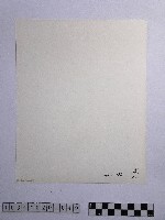 黃則修攝淡河暮色藏品圖，第2張