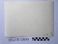 黃則修攝撈蜆船藏品圖，第2張