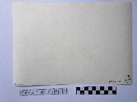 黃則修攝撈蜆船藏品圖，第2張