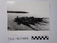 黃則修攝撈蜆船藏品圖，第1張