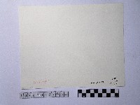 黃則修攝撈蜆船藏品圖，第2張