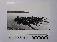 黃則修攝撈蜆船藏品圖，第1張