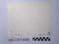 黃則修攝撈蜆船藏品圖，第2張