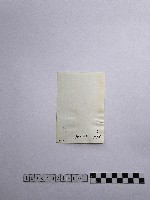 黃則修攝長者藏品圖，第2張
