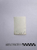 黃則修攝婦人與女童藏品圖，第2張