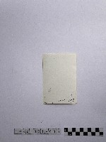 黃則修攝男子藏品圖，第2張