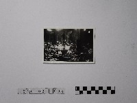 黃則修攝祭日的夜晚藏品圖，第1張