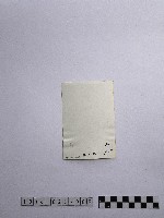 黃則修攝觀世音菩薩藏品圖，第2張