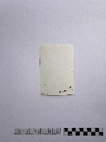 黃則修攝順風耳藏品圖，第2張