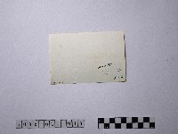 黃則修攝聖誕法會藏品圖，第2張