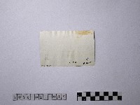 黃則修攝師父背影藏品圖，第2張