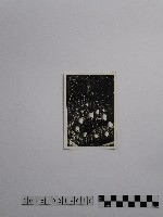 黃則修攝藻井藏品圖，第1張