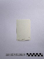 黃則修攝藻井藏品圖，第2張