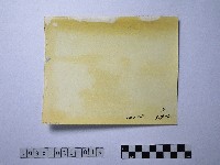 黃則修攝祥獸藏品圖，第2張