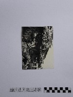 黃則修攝瓜筒藏品圖，第1張