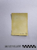 黃則修攝瓜筒藏品圖，第2張