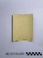 黃則修攝藻井藏品圖，第2張