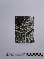 黃則修攝藻井藏品圖，第1張