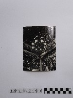 黃則修攝藻井藏品圖，第1張