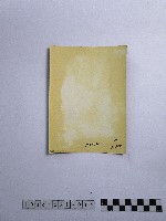 黃則修攝長者藏品圖，第2張