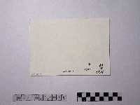 黃則修攝祭日的夜晚藏品圖，第2張