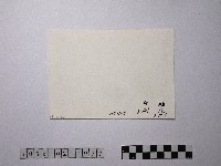 黃則修攝祭日的夜晚藏品圖，第2張