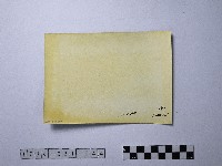 黃則修攝師父背影藏品圖，第2張