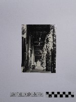 黃則修攝女童藏品圖，第1張