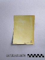 黃則修攝女童藏品圖，第2張