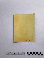 黃則修攝師父藏品圖，第2張