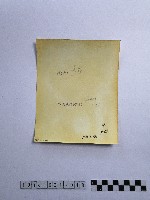 黃則修攝男子藏品圖，第2張