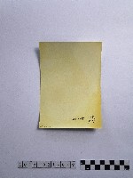 黃則修攝女子藏品圖，第2張