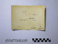 黃則修攝男子合影照藏品圖，第2張