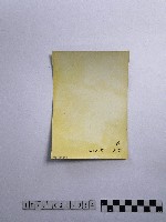 黃則修攝孩童合影照藏品圖，第2張