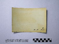 黃則修攝供品藏品圖，第2張