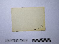 黃則修攝蠟燭與供品藏品圖，第2張