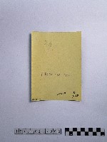 黃則修攝前殿廣場石碑藏品圖，第2張