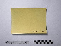 黃則修攝人潮藏品圖，第2張