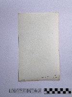 黃則修攝廟埕的倒影藏品圖，第2張