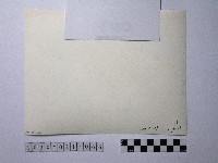 黃則修攝人潮藏品圖，第3張