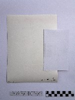 黃則修攝長者藏品圖，第3張