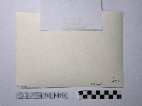 黃則修攝人群藏品圖，第3張