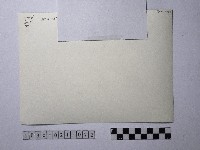 黃則修攝師父背影藏品圖，第3張