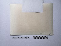 黃則修攝人群藏品圖，第3張