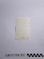 黃則修攝男子藏品圖，第2張