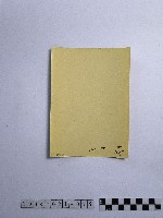 黃則修攝男子藏品圖，第2張