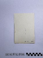 黃則修攝男子藏品圖，第2張