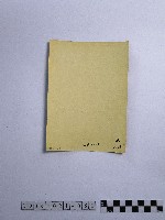 黃則修攝男子藏品圖，第2張