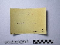 黃則修攝俯瞰龍山寺藏品圖，第2張